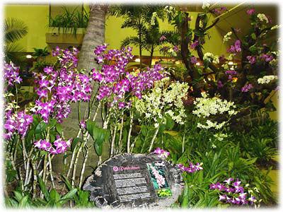 �V���K�|�[����`�̗��̉�