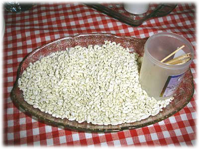 �M�ɍڂ����\���t