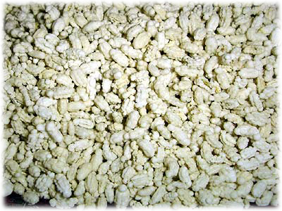 �\���t�̊g��ʐ^