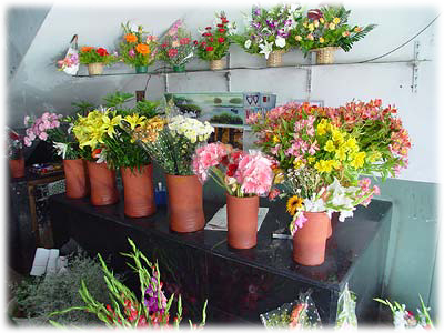 �X���ɗ�񂾐���