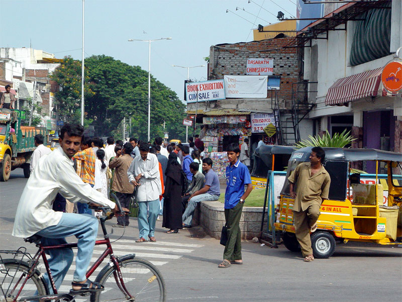 ����I�Ȍ����_�̕��i