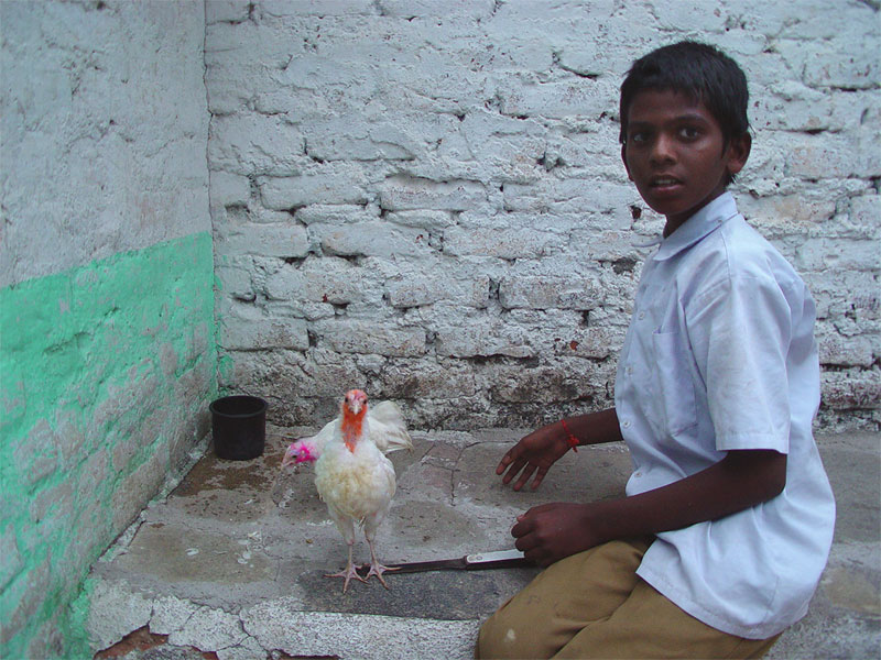 �{�̐��b�����鏭�N